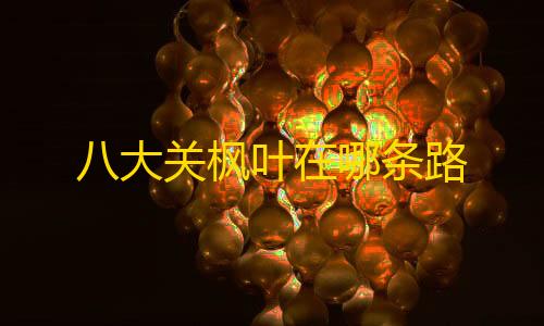 三角洲行动黑号批发八大关枫叶在哪条路